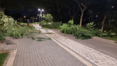  يافا: لا يحق الاعتداء على الحيّز العام وإن كانت البلدية نفسها !